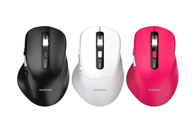 Mouse
