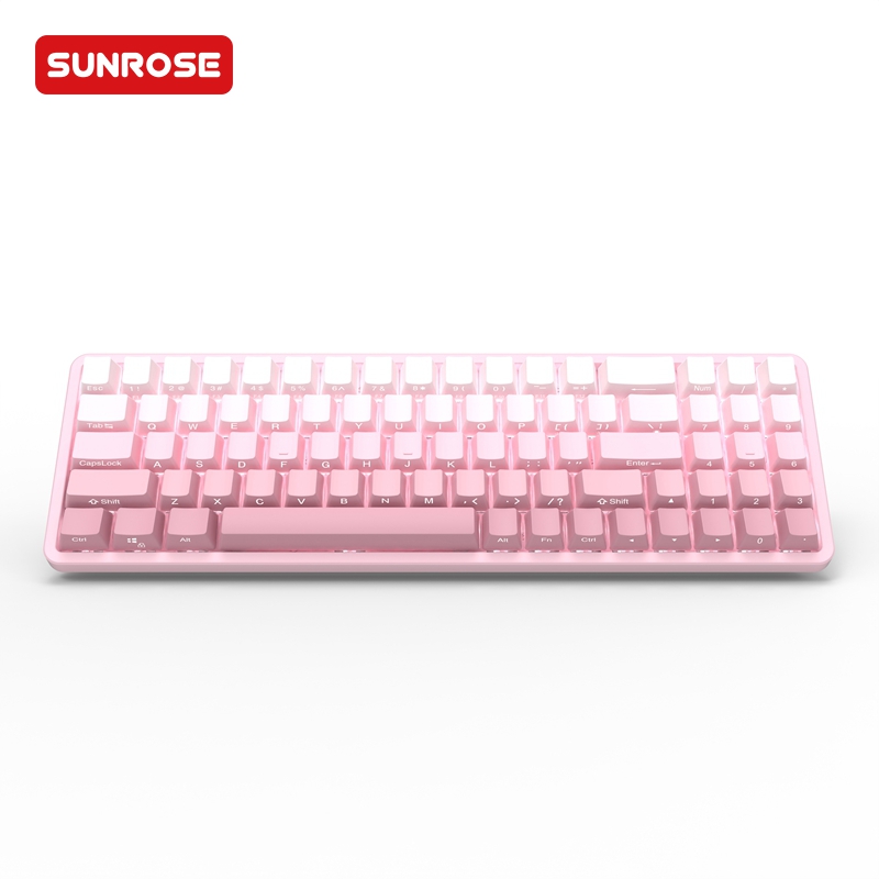 SUNROSE MK79 Mechanical Gaming Keyboard