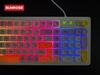 SUNROSE OKB030 Rainbow LED Backlit Gamers Wired Keyboard