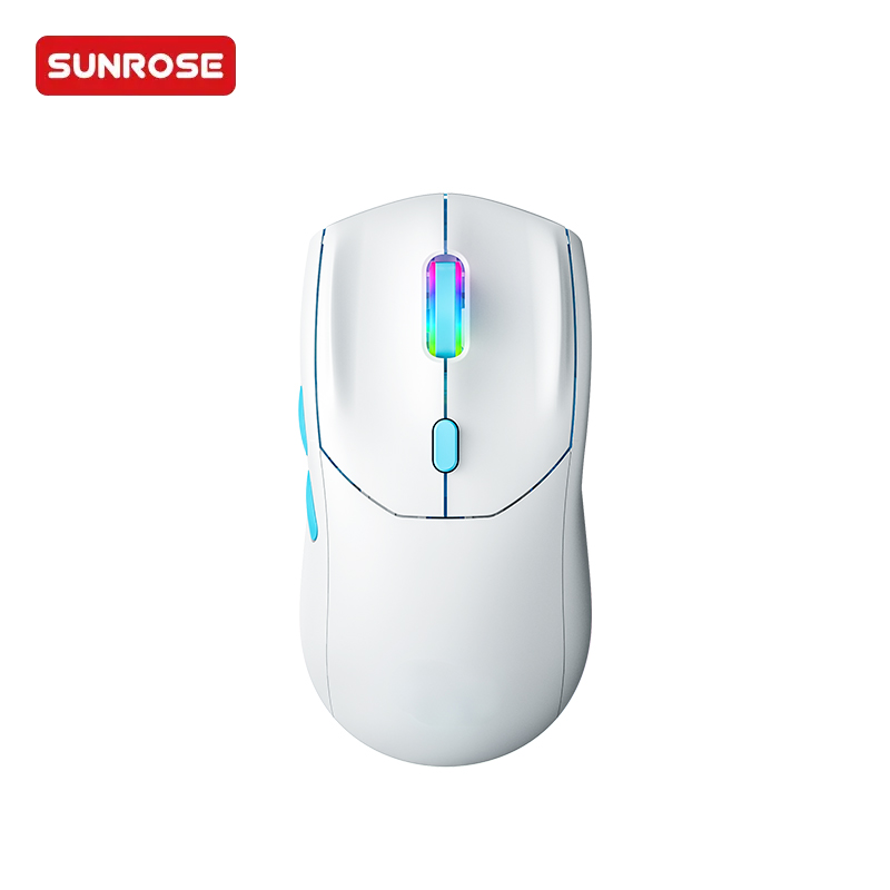 R2 Wireless Gaming Mouse