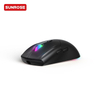R2 Wireless Gaming Mouse