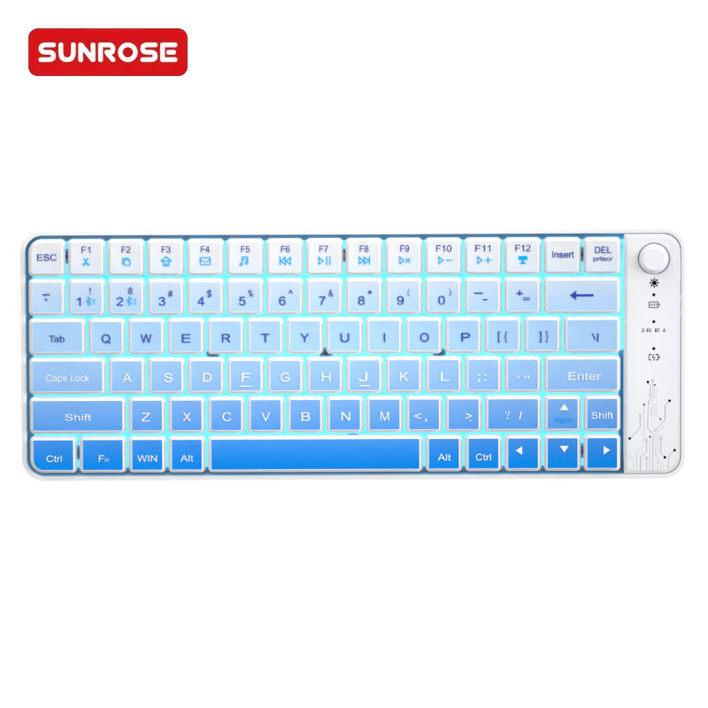 Wk04 Dual Mode Transparent Keyboard 