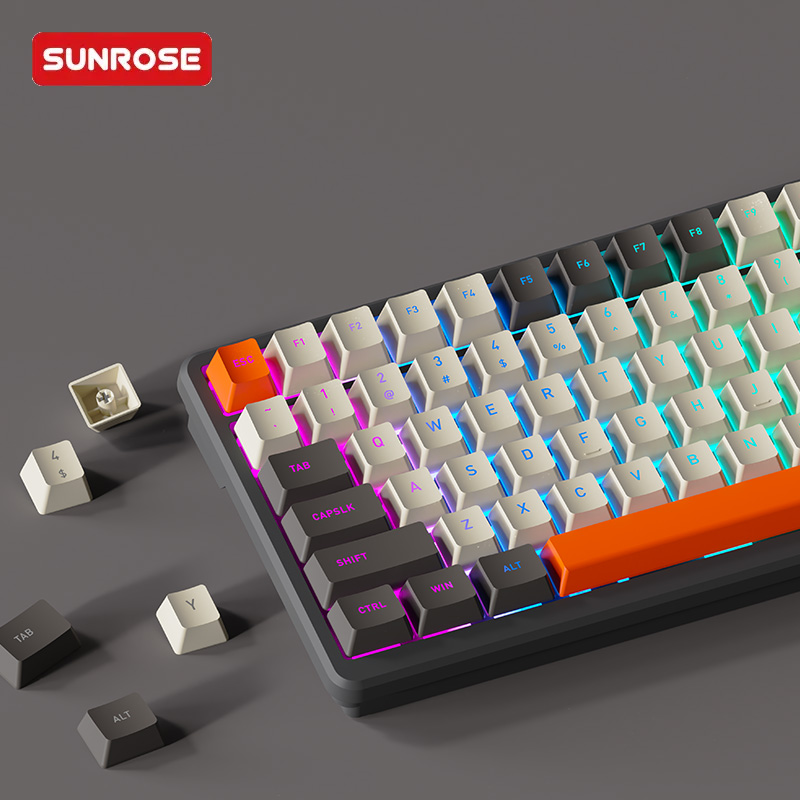 SUNROSE MK98 PRO Wireless Mechanical Keyboard